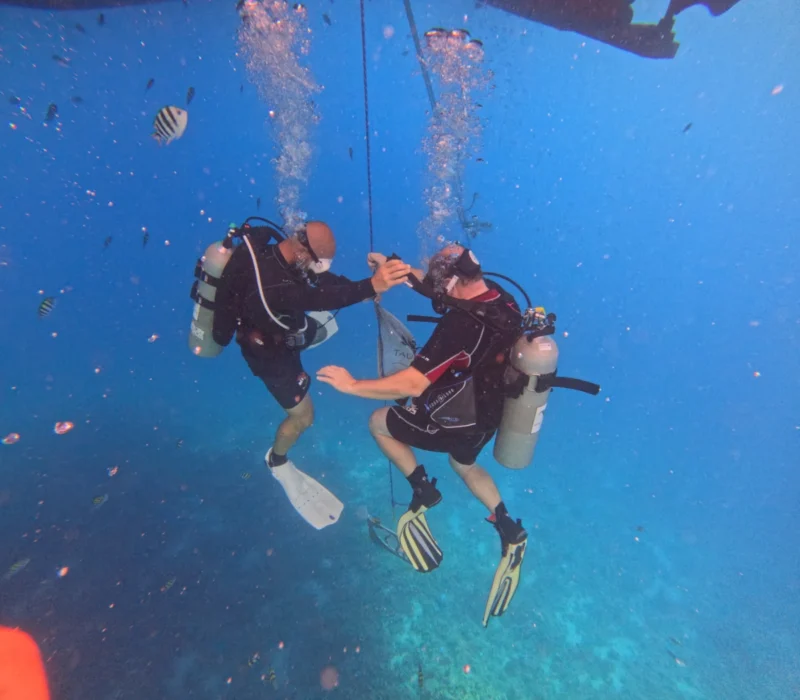 I.A.C. Open Water Diver – Bild 12