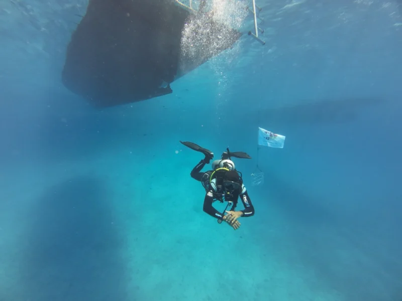 I.A.C. Master Diver – Bild 2