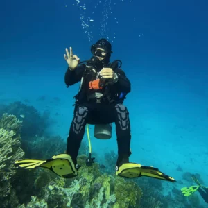 I.A.C. Master Diver