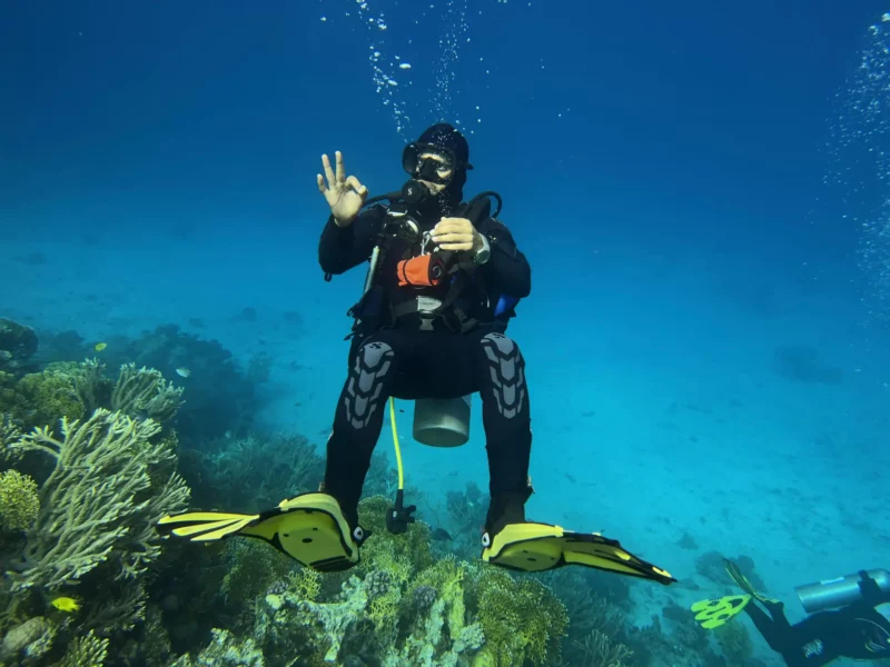 I.A.C. Master Diver