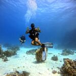 Tarieren in Perfektion